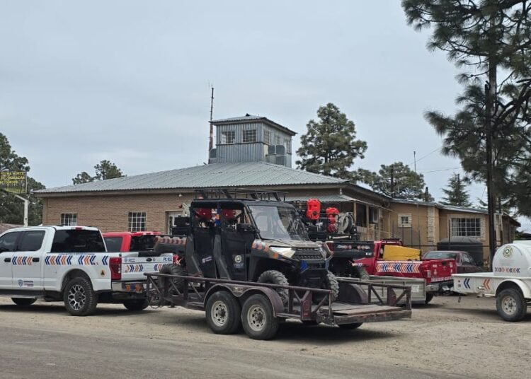 Se une personal de Protección Civil Estatal al combate de incendios en Madera