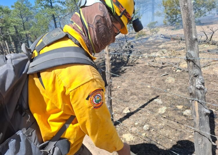 Trabajan 450 combatientes para controlar incendios forestales en ocho municipios