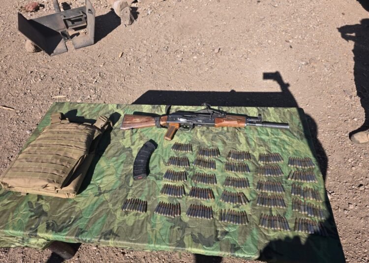 Localiza y destruye SSPE campamento delictivo en Madera