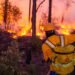 Combaten 138 brigadistas siete incendios forestales activos en cinco municipios de Chihuahua