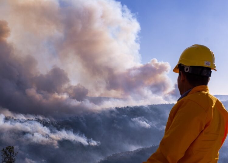 Registra SDR cinco incendios forestales activos en la entidad