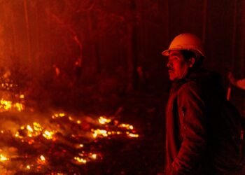 Controlan incendios forestales en Balleza y Madera; persisten 11 siniestros en la Sierra