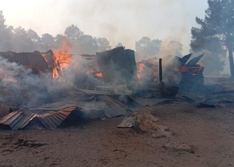 Trabaja Protección Civil del Estado en coordinación con Sedena para atender incendio en Guerrero