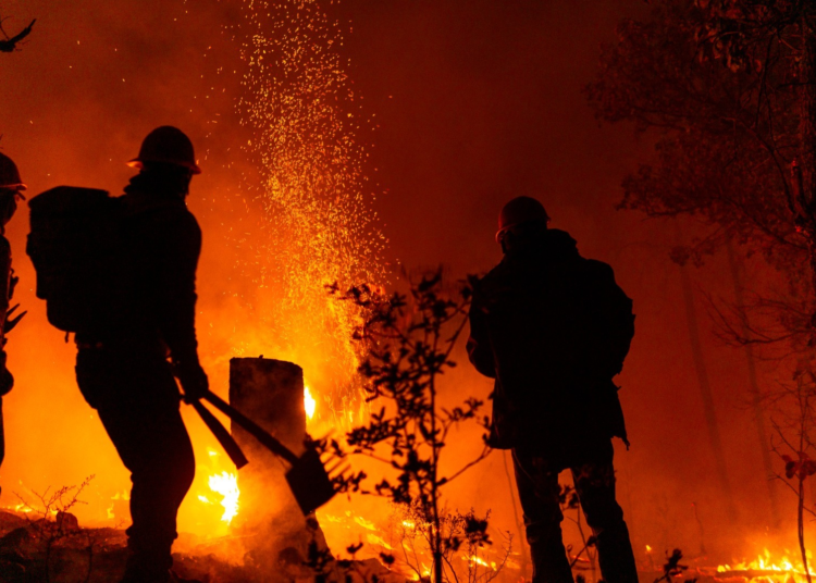 Controlado en un 90 por ciento incendio forestal en Guazapares: SDR