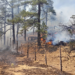 Permanecen activos 17 incendios forestales en Chihuahua