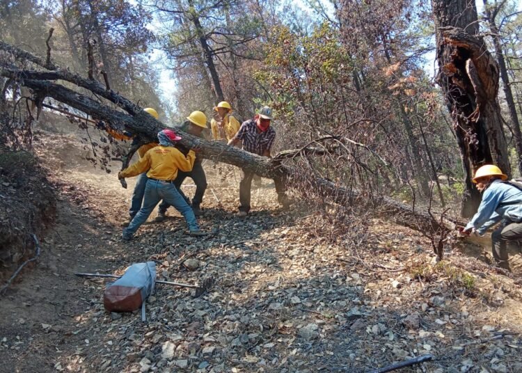 Combaten 438 brigadistas 18 incendios forestales activos en Chihuahua