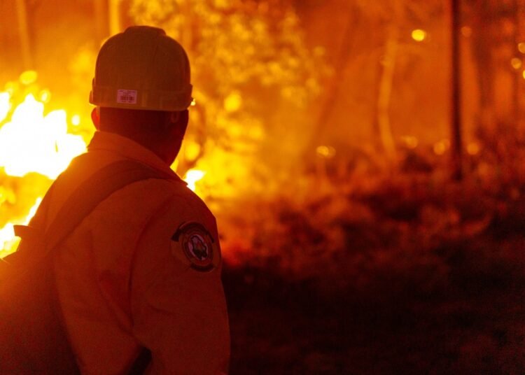Avanza combate a incendios forestales en Chihuahua