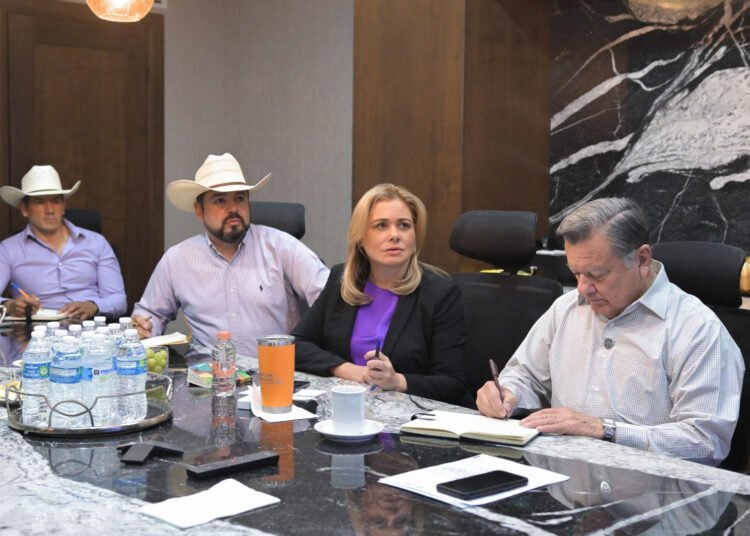 Maru Campos y Gobierno Federal analizan soluciones para reanudar exportaciones de ganado a EE. UU.