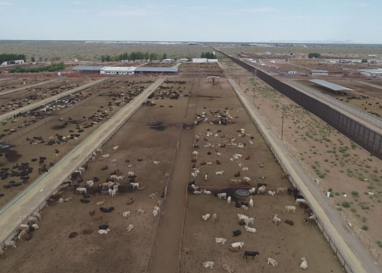 Chihuahua se suma a propuesta nacional para crear cinturones sanitarios en defensa del ganado