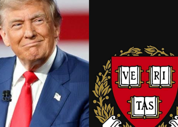 Trump busca cancelar contratos millonarios con la Universidad de Harvard