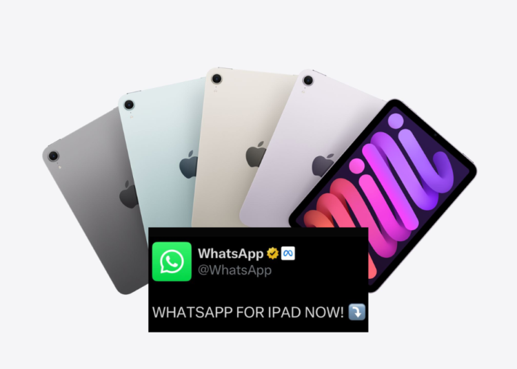 WhatsApp ya está disponible en iPad