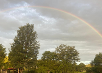 Pronostican lluvias de hasta 25 mm y fuertes ráfagas de viento en Chihuahua: CEPC emite alerta