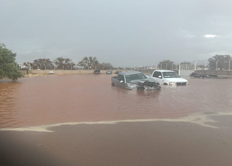 Temporal lluvioso afecta a campos menonitas y municipios del estado
