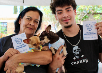 Acerca Municipio más de 200 servicios gratuitos para mascotas en El Porvenir y Vida Digna