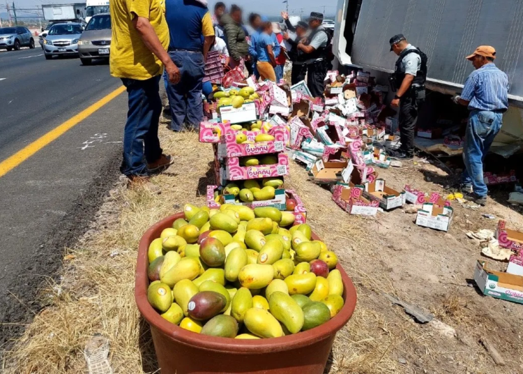 Se vuelca tráiler con mangos en Reynosa y desata ola de rapiña