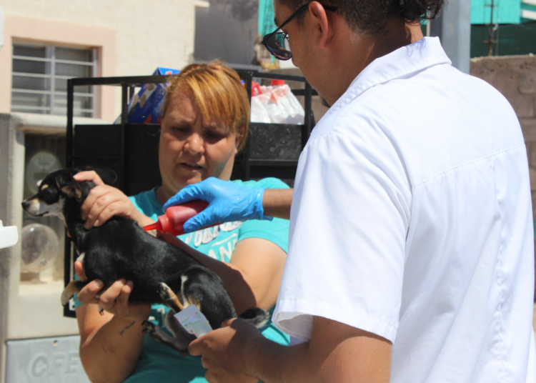 Anuncia Municipio calendario de visitas del programa “El Patio de Mi Casa” en junio