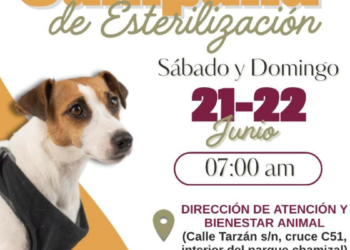 Invita DABA a jornada gratuita de esterilización de mascotas