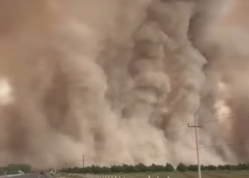 Tormenta de arena sorprende a habitantes de Nuevo Casas Grandes