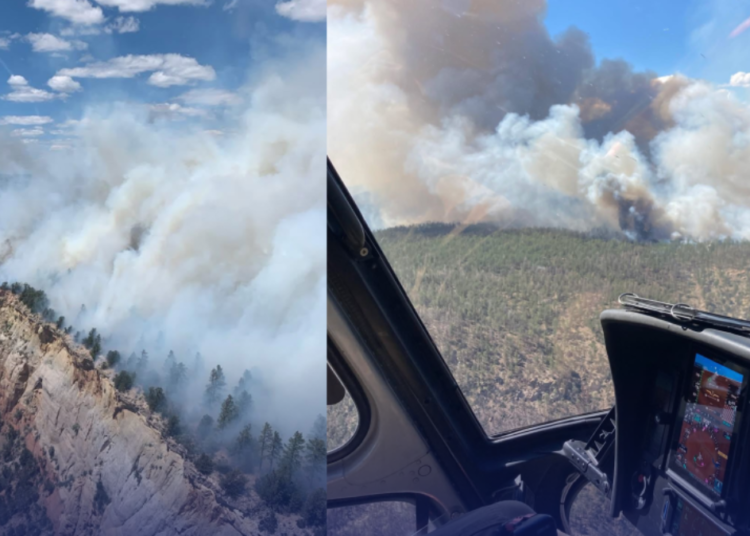 Avanza la contención del incendio en el Bosque Nacional de Santa Fe