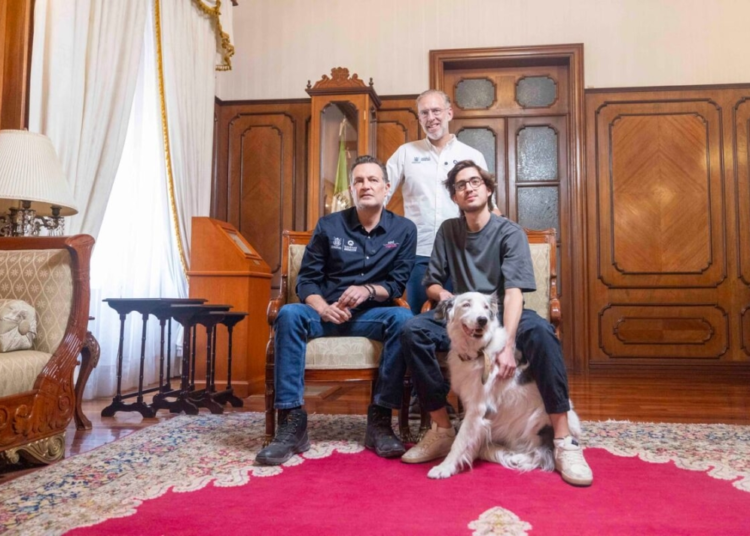 Querétaro presenta iniciativa de Ley de Bienestar Animal: buscan reconocer a los animales como seres sintientes