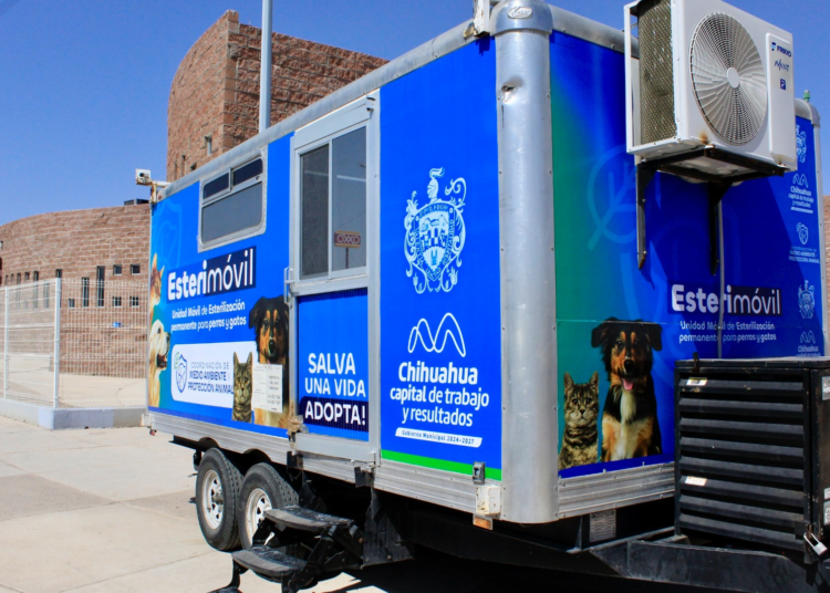 Municipio de Chihuahua anuncia nuevas fechas del Esterimóvil para esterilización gratuita de mascotas
