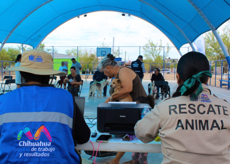 Brinda Gobierno Municipal más de mil 800 servicios gratuitos para mascotas en un mes