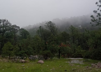 Prevé Protección Civil continuidad de lluvias en Chihuahua