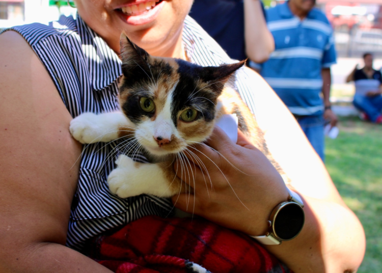 ¿Quieres esterilizar a tu mascota? Agenda tu cita en el Esterimóvil del Municipio