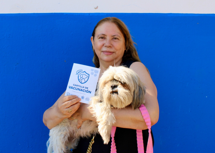 Más de 3 mil mascotas ya forman parte del Registro Municipal de Animales de Compañía en Chihuahua