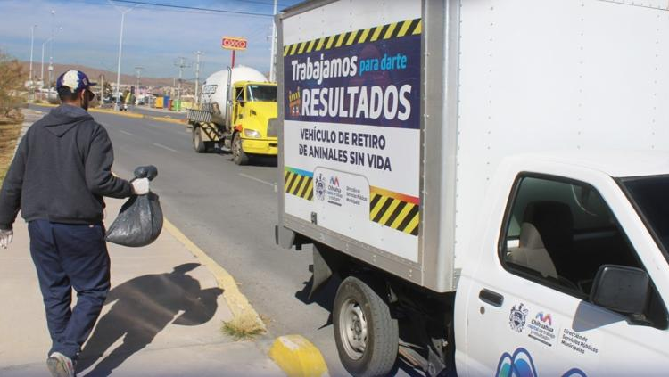 Ofrece Municipio servicio de retiro de animales sin vida en la vía pública