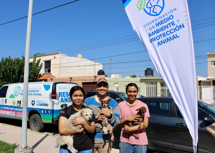 Llevará Gobierno Municipal servicios gratuitos para mascotas al Parque El Platanito
