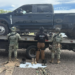Asegura SSPE vehículo robado con equipo táctico en Aldama