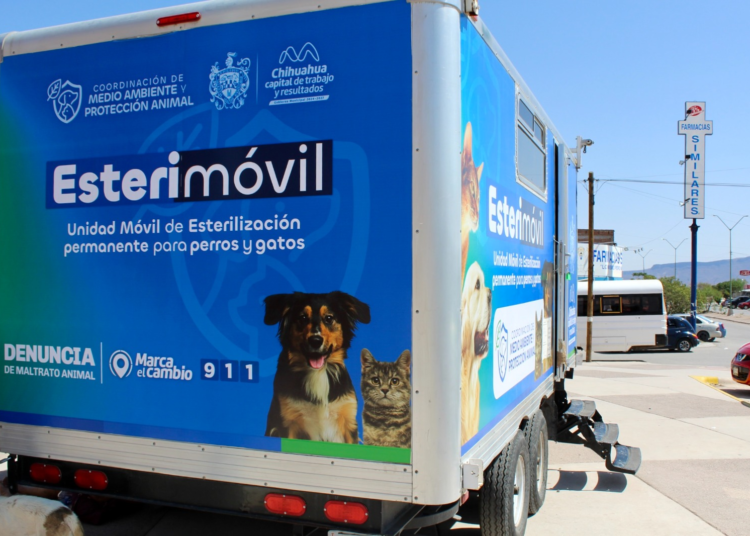 Esterilización gratuita para perros y gatos en el Centro Comunitario Mármol III