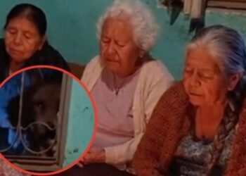 👻 VIDEO PARANORMAL EN REDESAseguran que una “extraña figura” aparece durante un rosario y causa pánico — el video divide opiniones