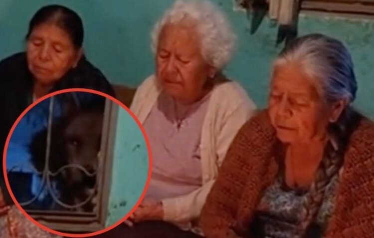 👻 VIDEO PARANORMAL EN REDESAseguran que una “extraña figura” aparece durante un rosario y causa pánico — el video divide opiniones