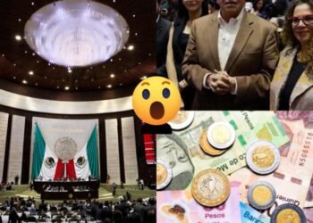 🔴 ASÍ SE VIVE LA POLÍTICA EN MÉXICO: SENADORES RECIBIRÁN CASI 400 MIL PESOS ESTE DICIEMBRE 🇲🇽💸