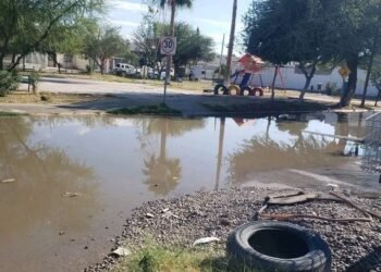 Vecinos de Jardines del Sol denuncian un mes con drenaje colapsado; exigen intervención inmediata