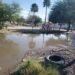 Vecinos de Jardines del Sol denuncian un mes con drenaje colapsado; exigen intervención inmediata