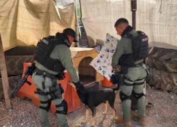 🐶❤️ DE CALLE A HÉROE ACOMPAÑANTE: EL PERR1TO QUE FUE ADOPTADO POR EL GRUPO REACCIÓN TORREÓN