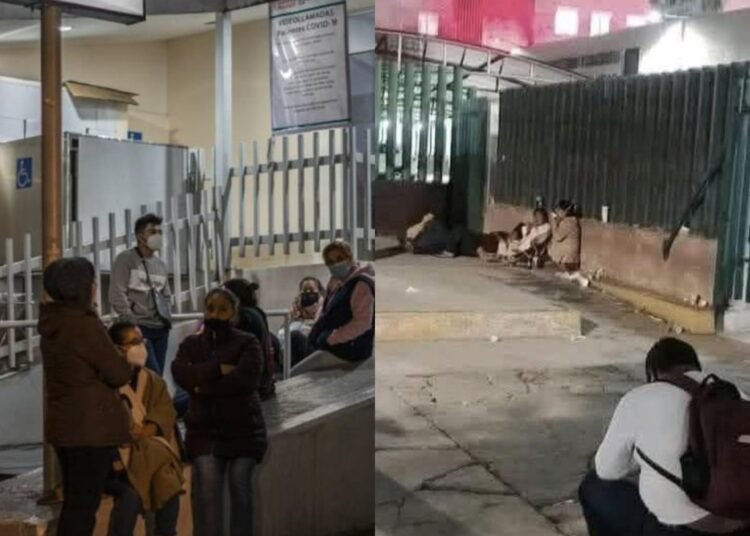 Navidad: cuando la gratitud pesa más que lo material