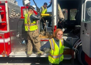 👏👏👏 ¡BRAVO, BRAVO, BRAVO!