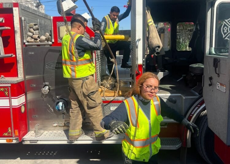 👏👏👏 ¡BRAVO, BRAVO, BRAVO!