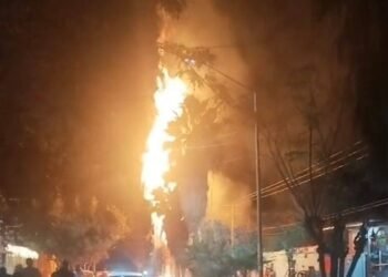 🚨🚨 CUETE PRENDE PALMA EN SAN JACINTO, LERDO 🚨🚨