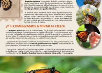 🦋 EL VUELO DORADO EN LA LAGUNA