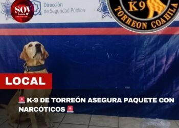 K-9 asegura paquete con narcóticos en almacén de Ciudad Industrial