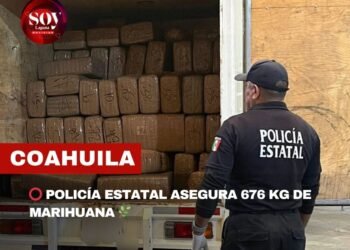 Policía Estatal asegura 676 kg de marihuana en filtro de seguridad Saltillo–Matamoros