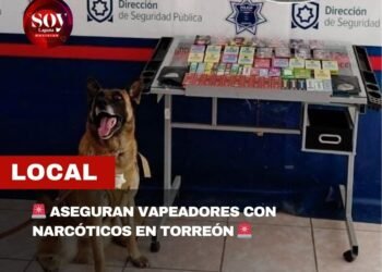 ASEGURA UNIDAD CANINA PAQUETE CON VAPEADORES QUE CONTENÍAN NARCÓTICOS EN PAQUETERÍA DE TORREÓN